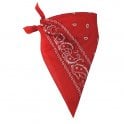 Adult 1 x White Texan Cowboy Hat + 1 x Red Bandana 